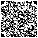 QR code with Publishers Circltn contacts