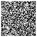 QR code with Proactive Solutions contacts