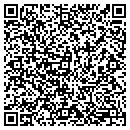 QR code with Pulaski Storage contacts