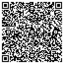 QR code with Conceptual Designs contacts