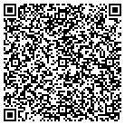 QR code with Professional Tutoring contacts
