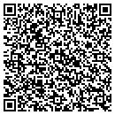 QR code with Public Storage contacts