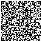 QR code with Public Library Systems contacts