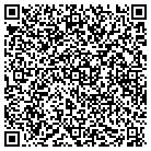 QR code with Blue Ridge Pump Service contacts