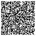 QR code with W Gary contacts