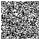 QR code with Pyle Realty Inc contacts