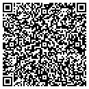 QR code with Premier Real Estate contacts