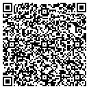 QR code with Public Servicing Co contacts