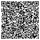 QR code with Putney Public Library contacts
