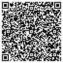 QR code with Borys Instruments Co contacts