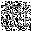 QR code with Public Comm Service Inc contacts
