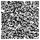 QR code with Baierlein Landscaping Inc contacts