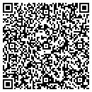 QR code with Premier Painting Inc contacts
