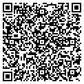 QR code with B Side contacts