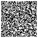 QR code with Cook Lauralyn Dvm contacts