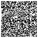QR code with Professional Tile contacts