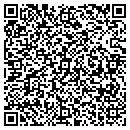 QR code with Primary Painting Inc contacts