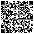 QR code with Nesca contacts