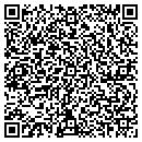 QR code with Public Service Board contacts