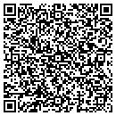 QR code with Pyralisk Art Center contacts