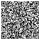 QR code with Pulseback Inc contacts