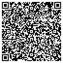 QR code with Professional Approach contacts