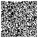 QR code with Champlaine Iceboards contacts