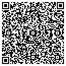 QR code with Pyroserv Inc contacts