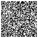 QR code with Chapin Orchard contacts