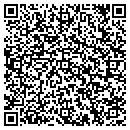 QR code with Craig M Lommasson Painting contacts