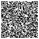 QR code with Public Works contacts