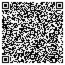 QR code with Cynosure Design contacts