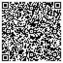 QR code with Csi Teo Synthetics contacts