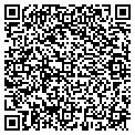QR code with Attic contacts