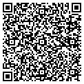 QR code with Talbots contacts