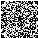 QR code with Borup Properties LLC contacts