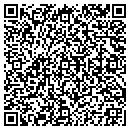 QR code with City Deli & Wine Shop contacts