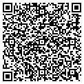 QR code with Lithia contacts