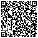 QR code with Signdog contacts