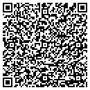 QR code with Colors By David contacts