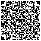 QR code with Blimpie Subs & Salads contacts