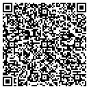 QR code with Cubs Consulting Inc contacts