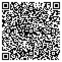 QR code with Cedars contacts