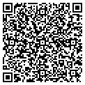 QR code with Vector contacts
