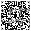 QR code with Pyramid Homes Inc contacts