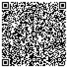 QR code with Professional Small Bus Mchs contacts
