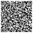 QR code with Precision Images contacts