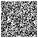 QR code with Purity Plumbing contacts