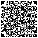 QR code with Primary Painting Inc contacts