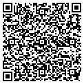 QR code with Fiserv contacts